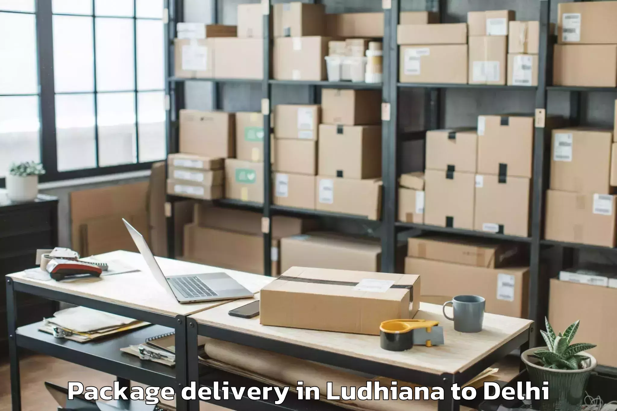 Affordable Ludhiana to Dlf Promenade Mall Package Delivery